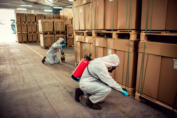 Best Wildlife Control Services  in Valley Falls, SC